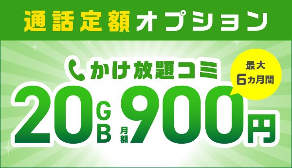 通話定額オプション割引