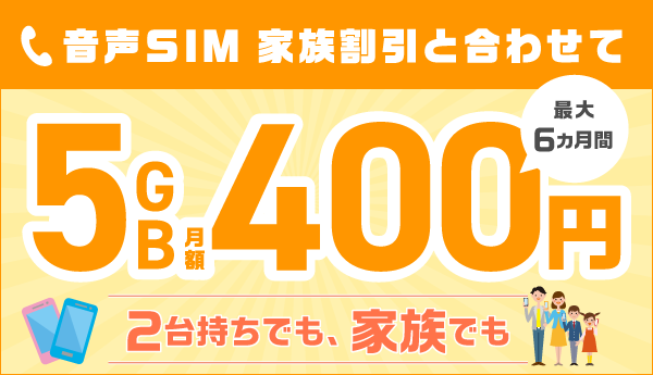 <2回線目以降の音声SIM申込ならもっとおトク!>
家族割引と合わせておトクな料金で使える