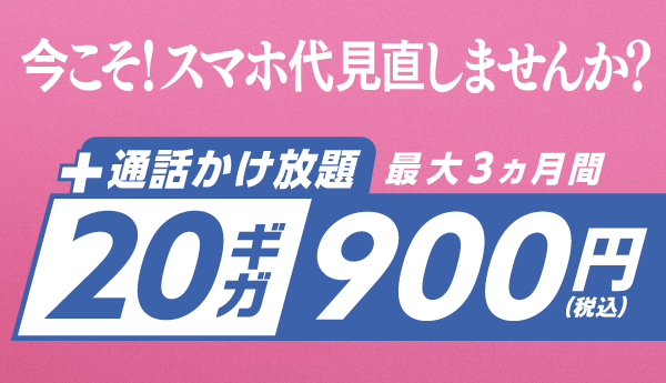 最大3ヵ月間 20ギガ900円で使える！