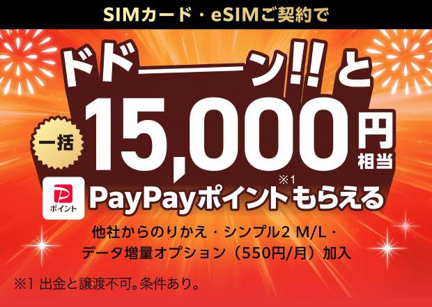 【ヤフー店】SIMご契約特典