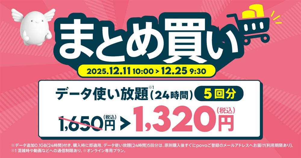 データ使い放題(24時間)5回分
