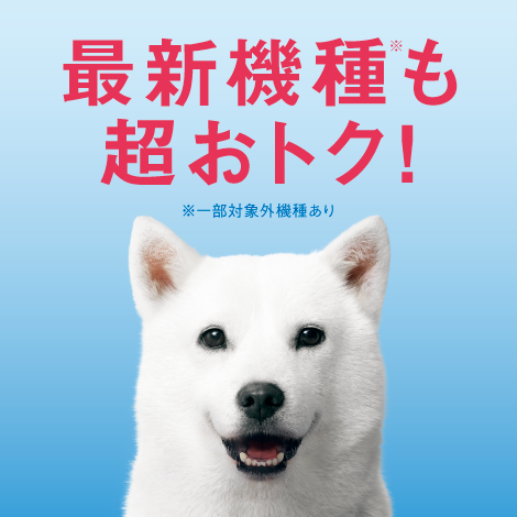 キャンペーン画像