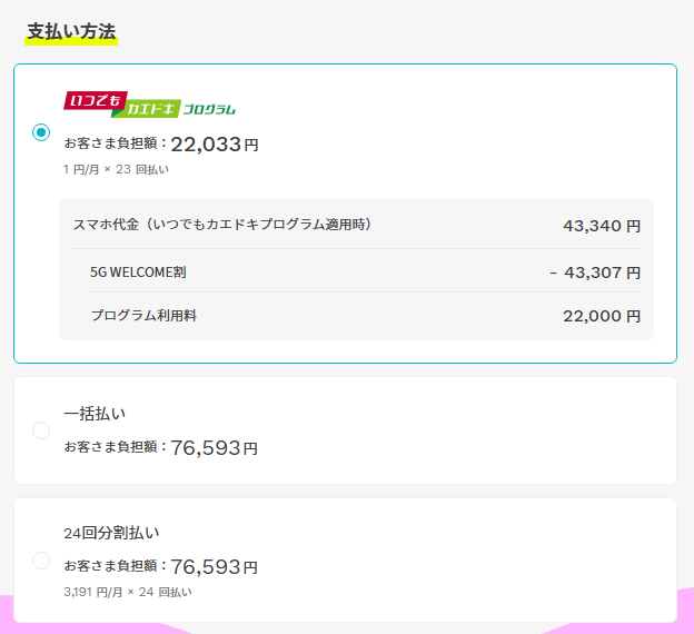いつでもカエドキプログラム適用時