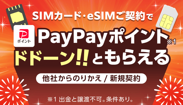 ワイモバイルヤフー店 SIMご契約特典