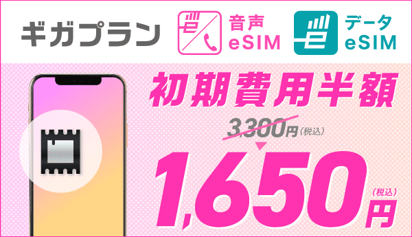 eSIM初期費用半額キャンペーン(初期費用1,650円割引)