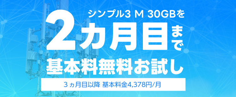 2ヵ月目まで SIM無料お試し