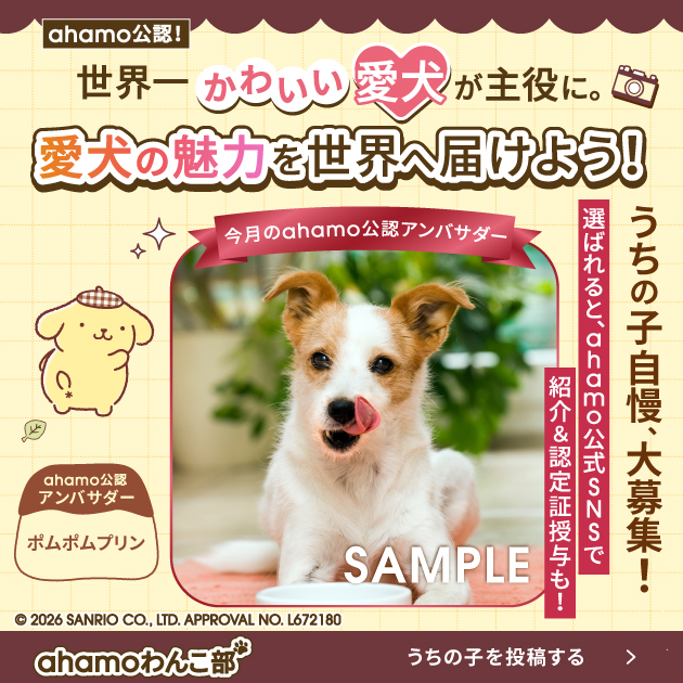 ahamoわんこ部