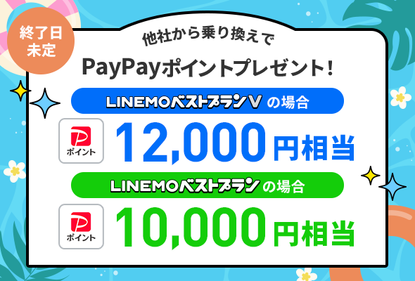 PayPayポイントプレゼントキャンペーン