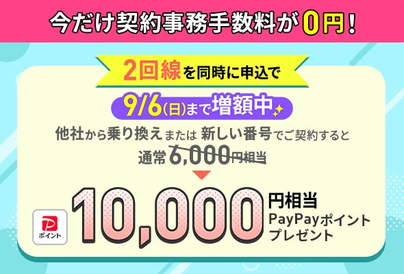 2回線まとめて申し込みでPayPayポイントプレゼントキャンペーン