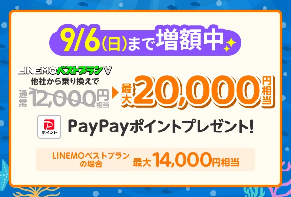 PayPay増額キャンペーン(2026年8月4週目開催)