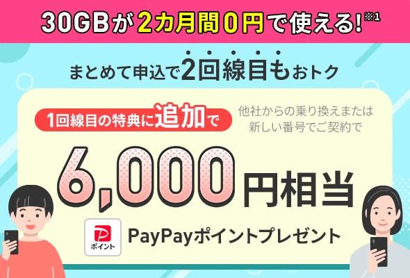 2回線まとめて申し込みでPayPayポイントプレゼントキャンペーン