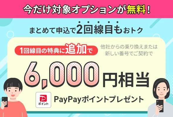 2回線まとめて申し込みでPayPayポイントプレゼントキャンペーン